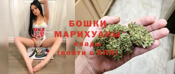 тгк Переславль-Залесский