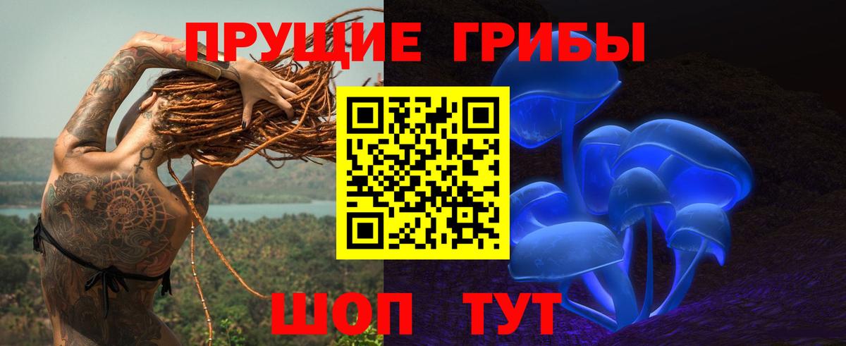 Ирбит  Псилоцибиновые грибы Psilocybine cubensis  Вход с VPN 